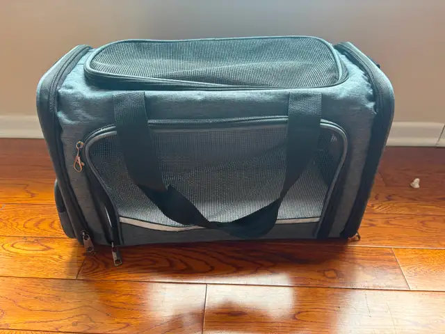 Pet Travel Carrier