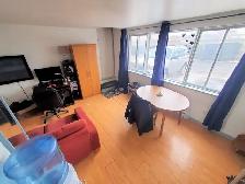 Large spacious bright 3 1/2 and 4 1/2 apt. in Sainte-Anne - Photo 6