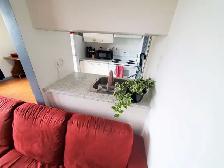 Large spacious bright 3 1/2 and 4 1/2 apt. in Sainte-Anne - Photo 8