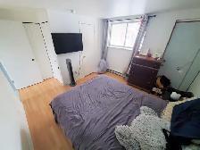 Large spacious bright 3 1/2 and 4 1/2 apt. in Sainte-Anne - Photo 10