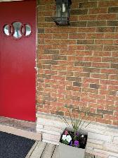 RENOVATED 5BD, 2BA house ONLY $3,900 - Photo 2