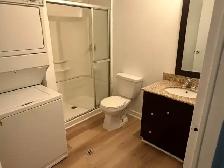 RENOVATED 5BD, 2BA house ONLY $3,900 - Photo 7