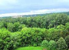 WESTERN/WINDERMERE EXECUTIVE SHARED INCLUSIVE FURNISHED June - Photo 10