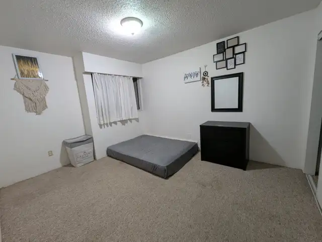 Spacious room for Female available