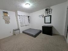 Spacious room for Female available