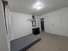Spacious room for Female available - Photo 2