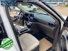2021 Ford Explorer Platinum - Sunroof - Leather Seats - Photo 13