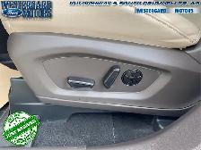 2021 Ford Explorer Platinum - Sunroof - Leather Seats - Photo 20