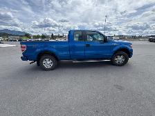 2010 Ford F-150 STX 4X4 PICKUP - Photo 6