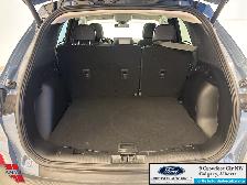 2024 Ford Escape PHEV HEATED LEATHER SEATS - SUNROOF - FWD - PRE - Photo 14