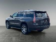 2017 Cadillac Escalade Luxury - Photo 4