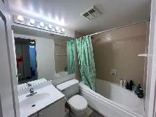 Downtown Toronto Bay & College/Gerrard Condo  Super facilities - Photo 7
