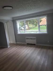 Painter/Handyman/Carpenter - Photo 2