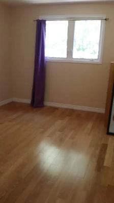 2 Rooms Close to Seneca for Females