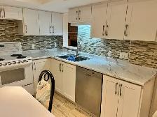Renovated 1 Bedroom Apartment for Rent - Photo 4