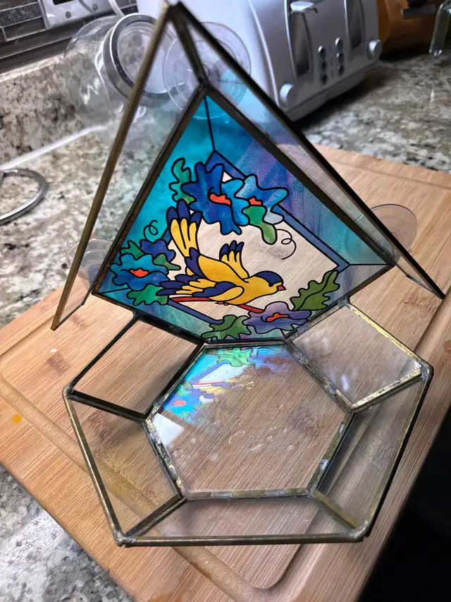 Window bird feeder