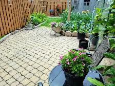 Room to rent in a peaceful home - Aylmer (Gatineau) - Photo 5