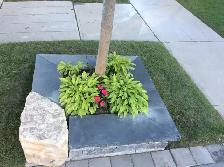 Kota Black Wall Coping – Premium Natural Stone | $13.40/Sqft - Photo 2