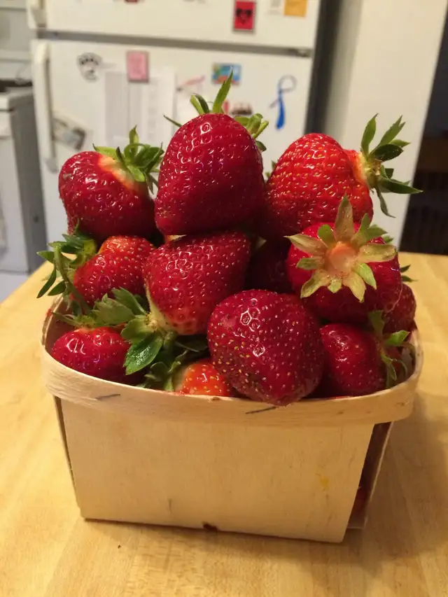 Commercial Strawberry Pickers Wanted