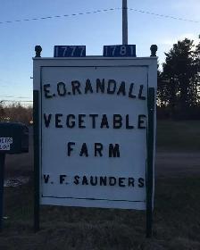Commercial Strawberry Pickers Wanted - Photo 3