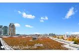 1030 KING STREET WEST - DNA 3 CONDOS - BACHELOR W/A HUGE TERRACE - Photo 8