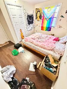 Room For Rent (On The Hill Uptown) Dog & Cat Friendly - Open Now - Photo 5