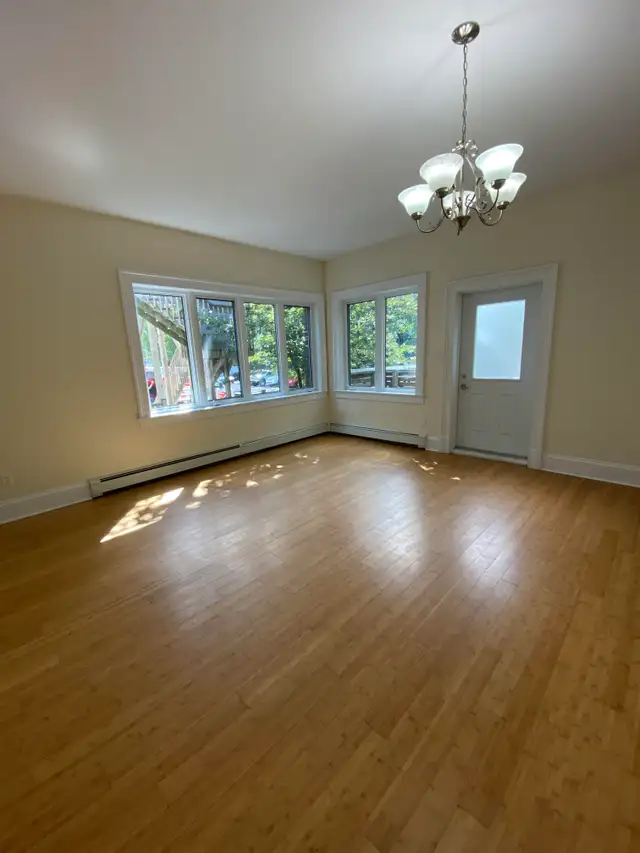 Large 2BR South End Flat - 1176 South Park St - Heat/Water Incl