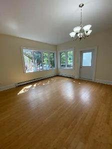 Large 2BR South End Flat - 1176 South Park St - Heat/Water Incl