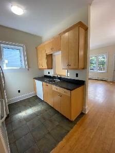 Large 2BR South End Flat - 1176 South Park St - Heat/Water Incl - Photo 6