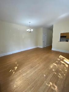 Large 2BR South End Flat - 1176 South Park St - Heat/Water Incl - Photo 8