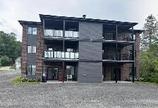 4 1/2 À LOUER ST-DENIS-DE-BROMPTON - Photo 2