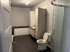 4 1/2 À LOUER ST-DENIS-DE-BROMPTON - Photo 6