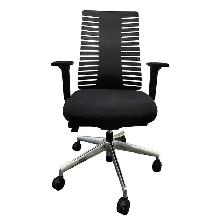 OFFICE CHAIR BACK AND SEAT - $300