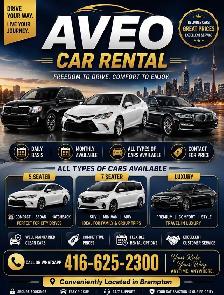 CAR RENTALS