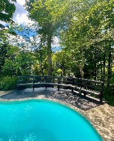 Fence and Deck Staining - Photo 5