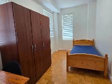 ROOM for Rent / York Uni. Village / North York