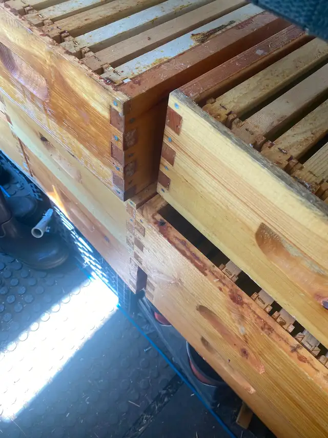 Hive kit