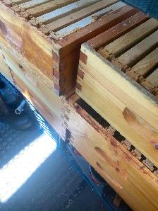 Hive kit