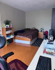 Large Furnished Two Bedroom Suite in Downtown Toronto - Photo 3
