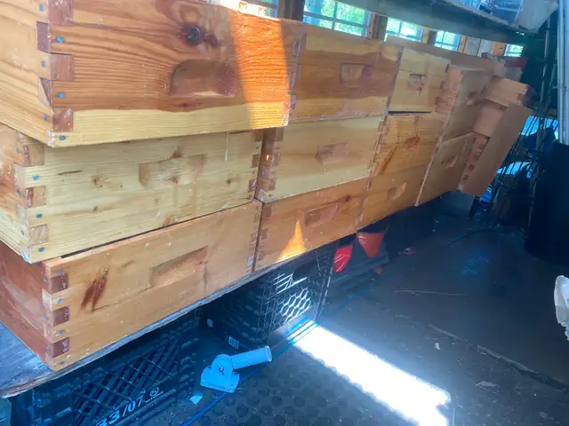Complete hive kit