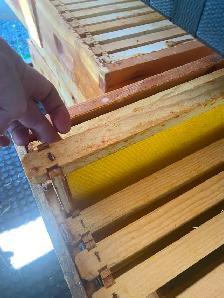 Complete hive kit - Photo 2