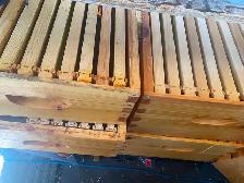 Complete hive kit - Photo 3