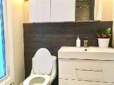 Renovated One Bedroom Main Floor Apartment in Leslieville - Photo 8