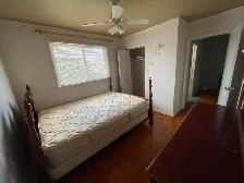 private room for rent - Photo 7