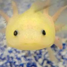 baby axolotl