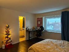 Room For Rent - 8 minute walk from Algonquin College