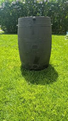 Rain Barrel