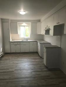 4 1/2 rénové à louer Longueuil - Photo 3