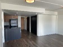 Downtown One-Bedroom with In-Suite Laundry and Parking Included - Photo 2