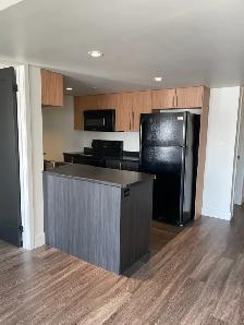 Downtown One-Bedroom with In-Suite Laundry and Parking Included - Photo 5